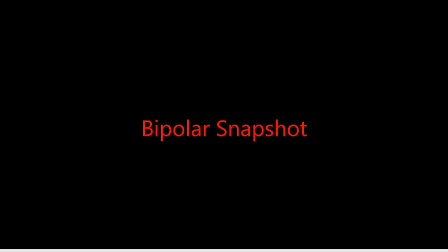 Bipolar Snapshot