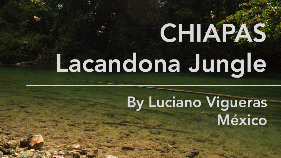 Chiapas Lacandona jungle.