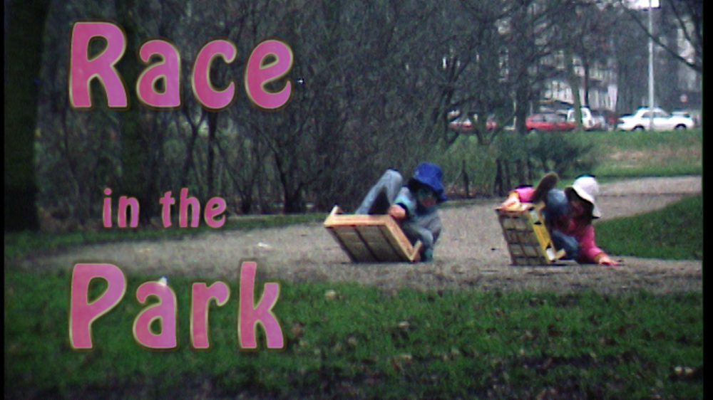 Race in the Park