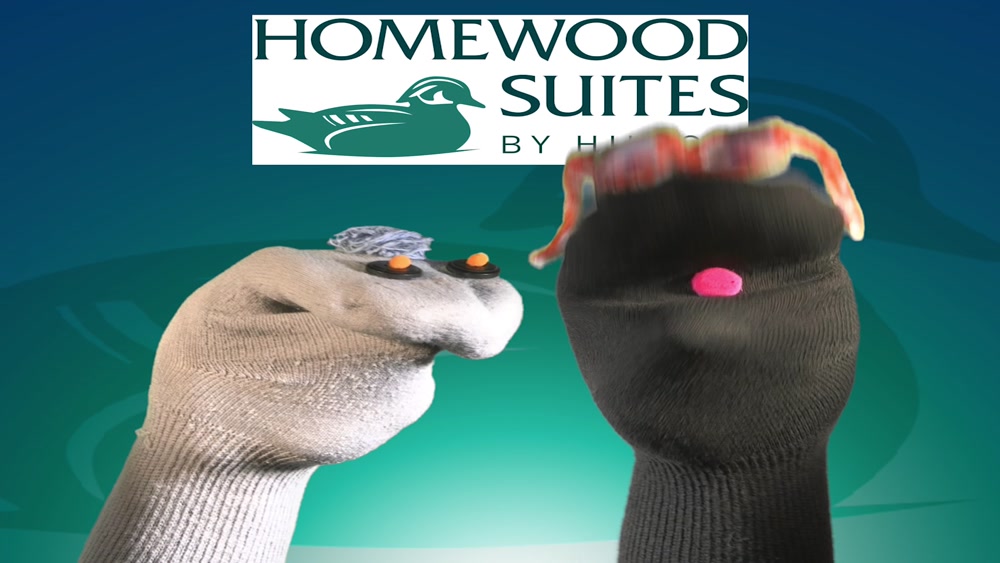 Homewood video feat. The Socks