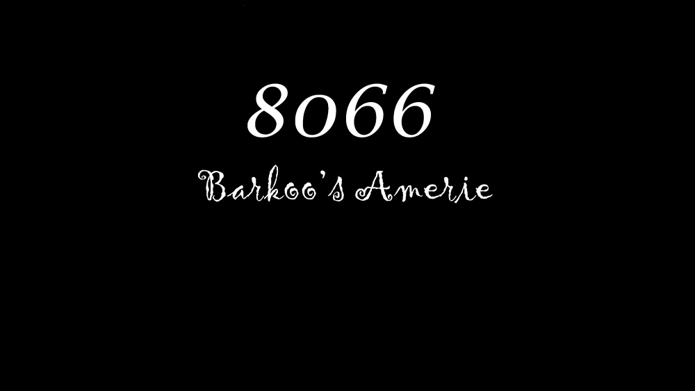 8066 Barkoo's Amerie promo preview pitch
