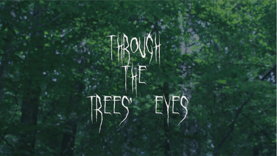 Through The Trees Eyes Trailer Pitch 2