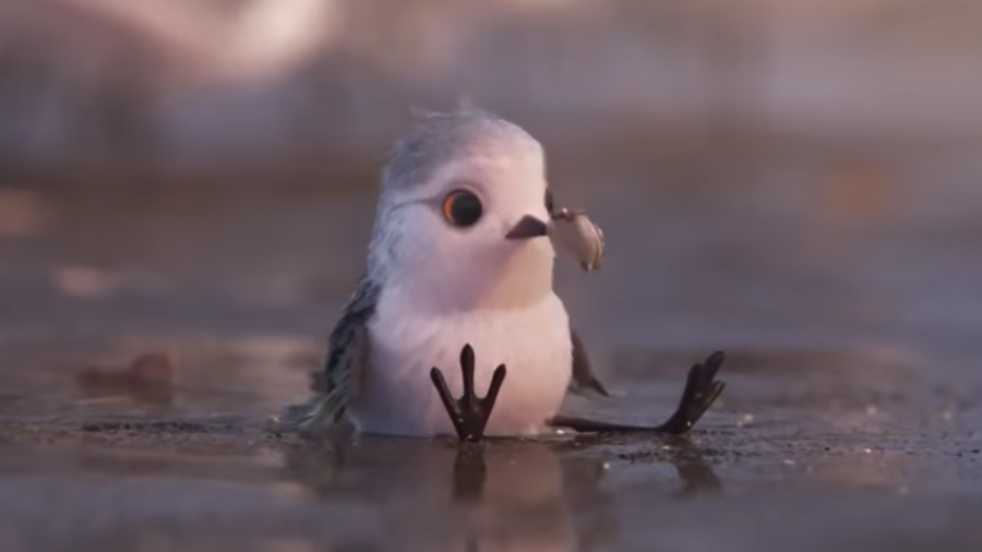 Piper First Look Official Trailer