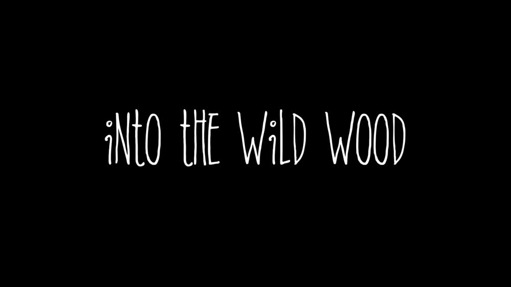 Into The Wild Wood