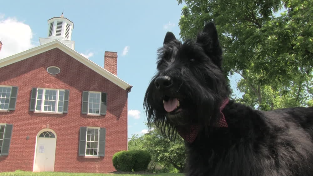 Touring Virginia with Willy the Scottie