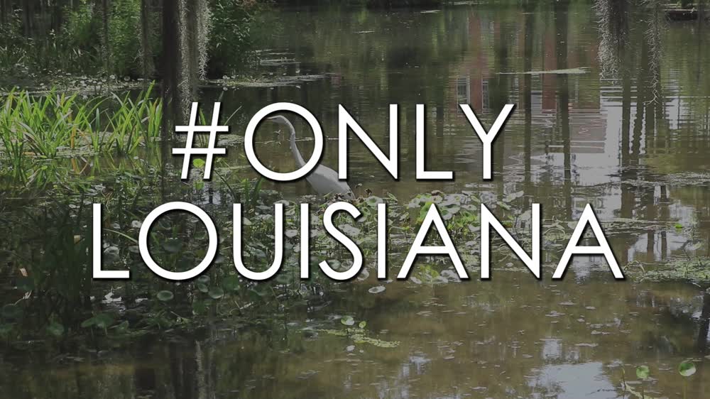 Only Louisiana