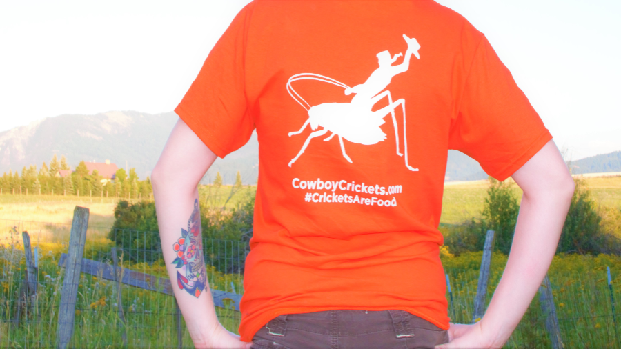 Cricket Farming Automation System