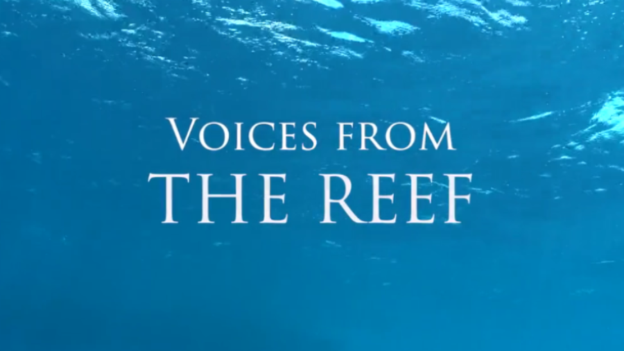 Voices from the Reef
