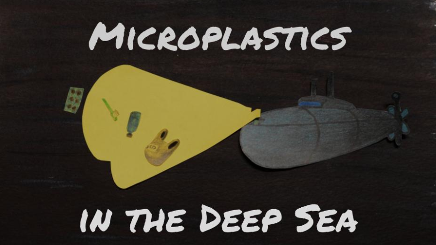 Microplastics in the Deep Sea