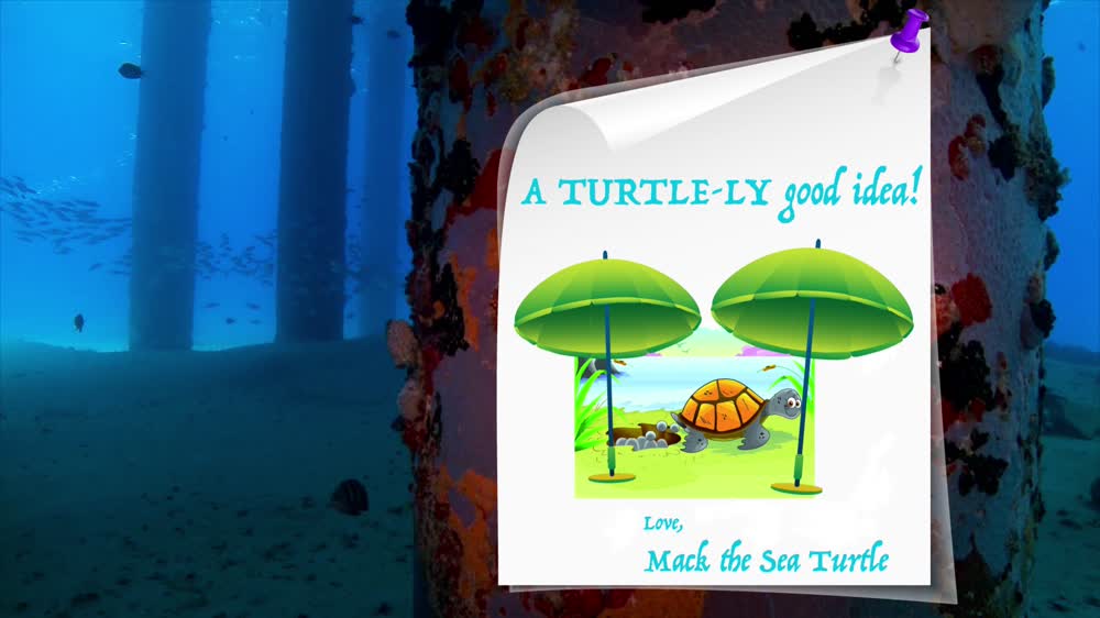 A Turtle-ly Good Idea