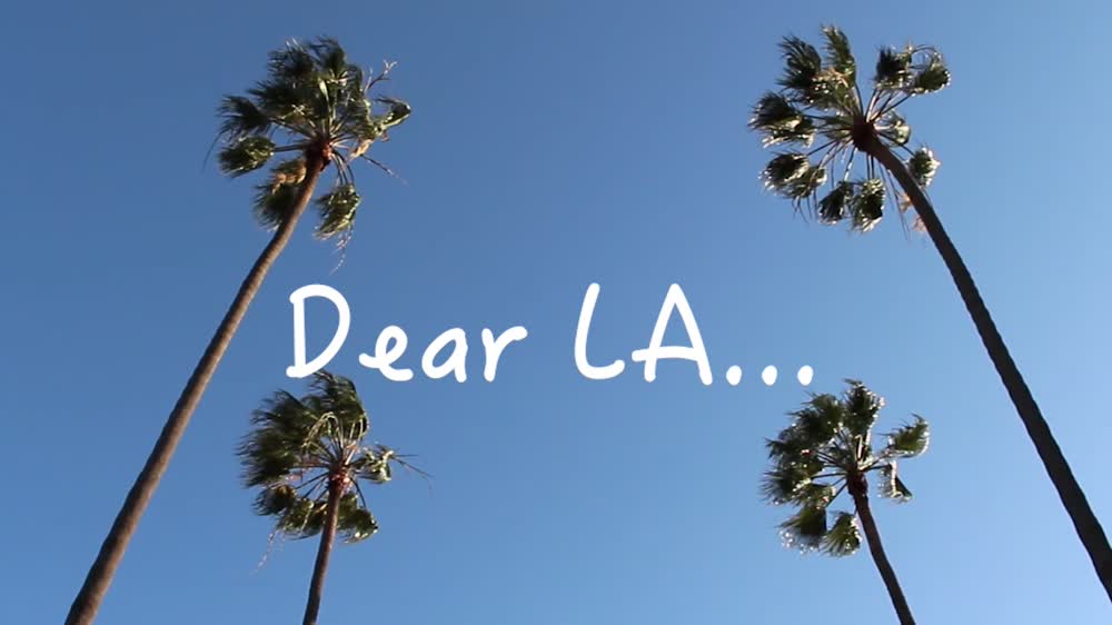 Dear LA