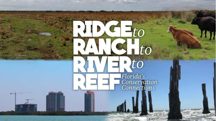 Ridge to Ranch to River to Reef Florida's Conservation Connections