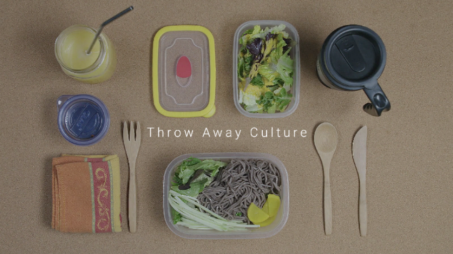 Throw Away Culture
