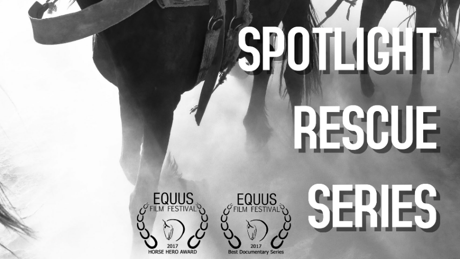 Spotlight Rescue Series Episode The Hanging Barn