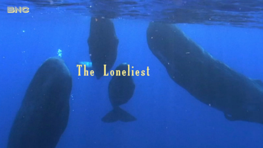 The Loneliest
