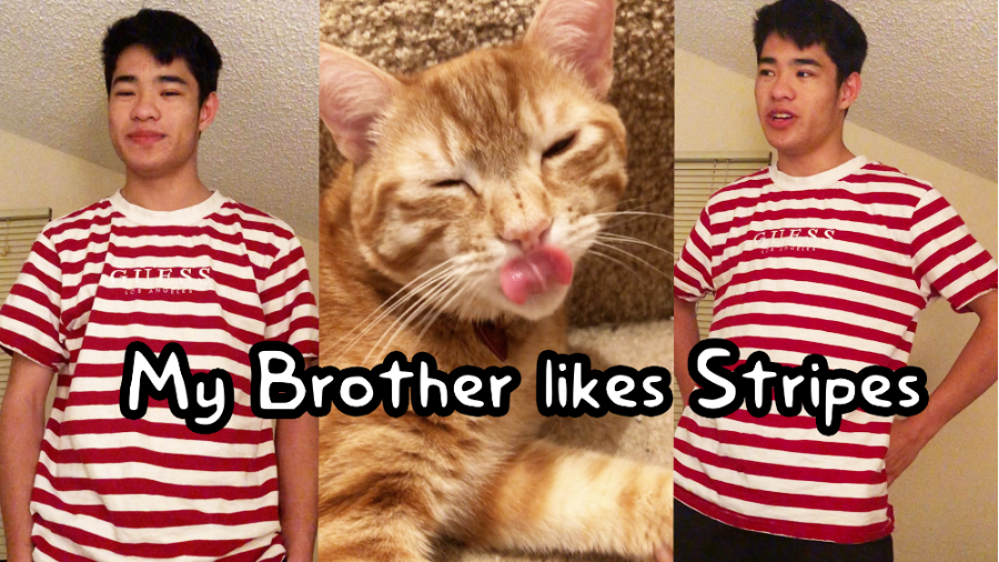 My Brother Likes Stripes
