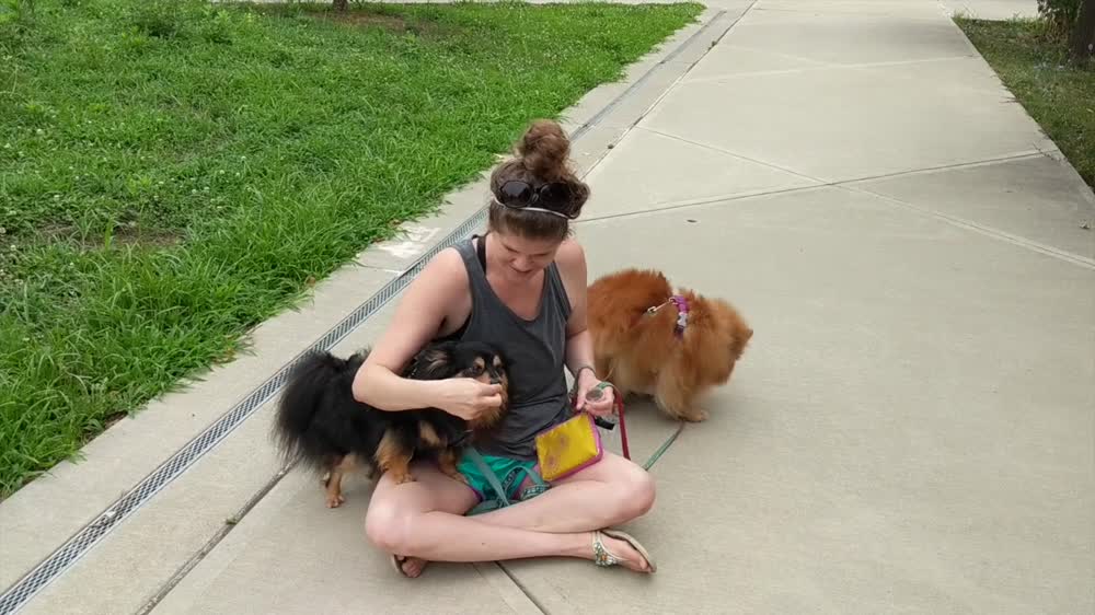 Brooke and The Rescue Poms are Family