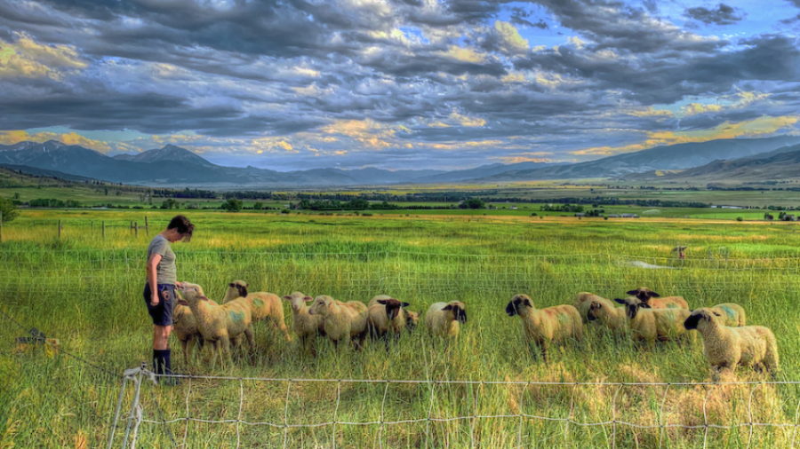 Regenerative Agriculture and the Next Generation of Ranching