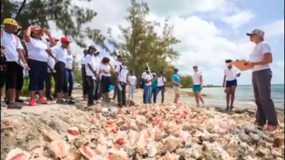 Conch Conservation in The Bahamas