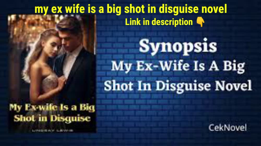 My Ex Wife Is A Big Shot In Disguise Novel read online free