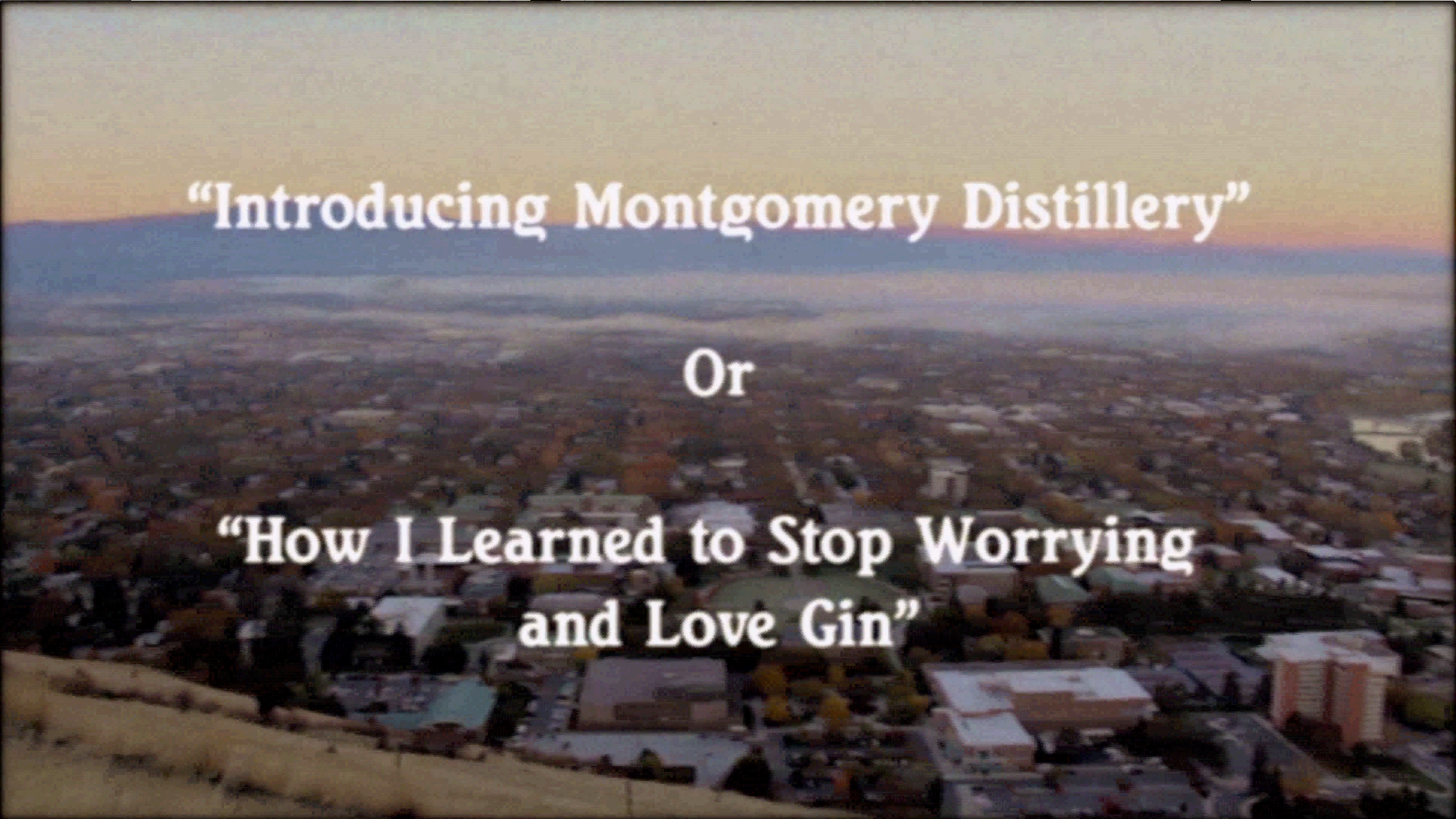 How I Learned to Stop Worrying and Love Gin