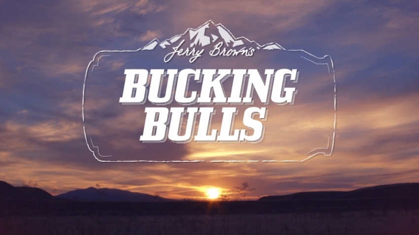 Jerry Brown's Bucking Bulls
