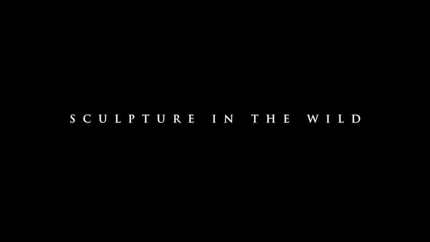 Sculpture in the Wild (1 minute teaser)
