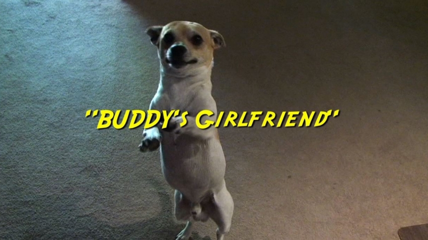 Buddy's Girlfriend