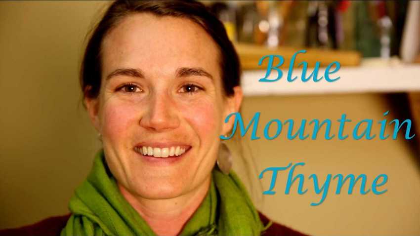 Blue Mountain Thyme