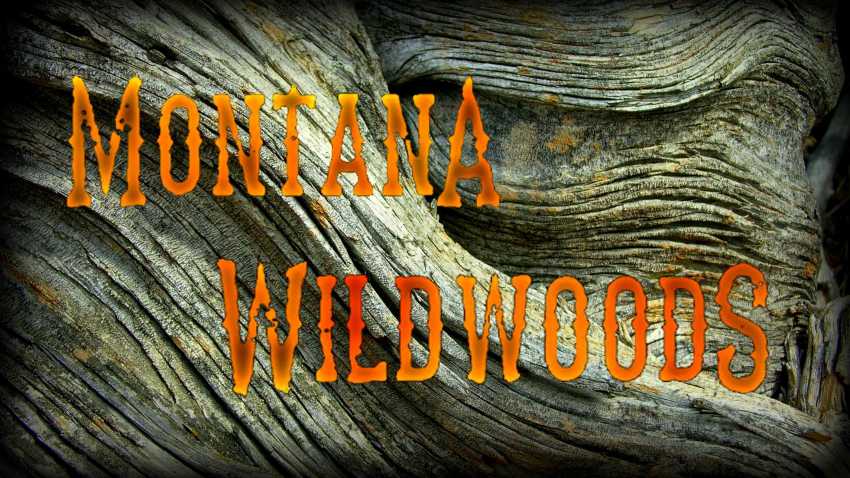 Montana Wildwoods