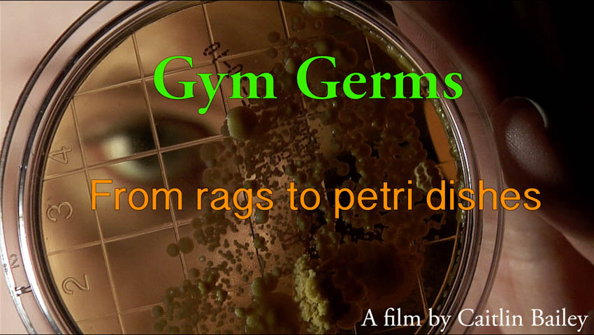 Gym Germs: From Rags to Petri Dishes