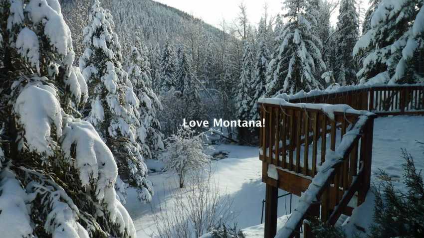 Love Montana