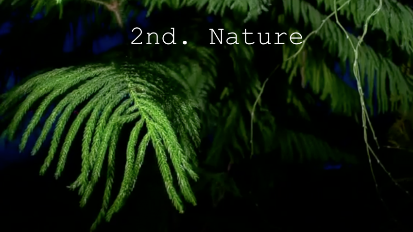 2nd. Nature