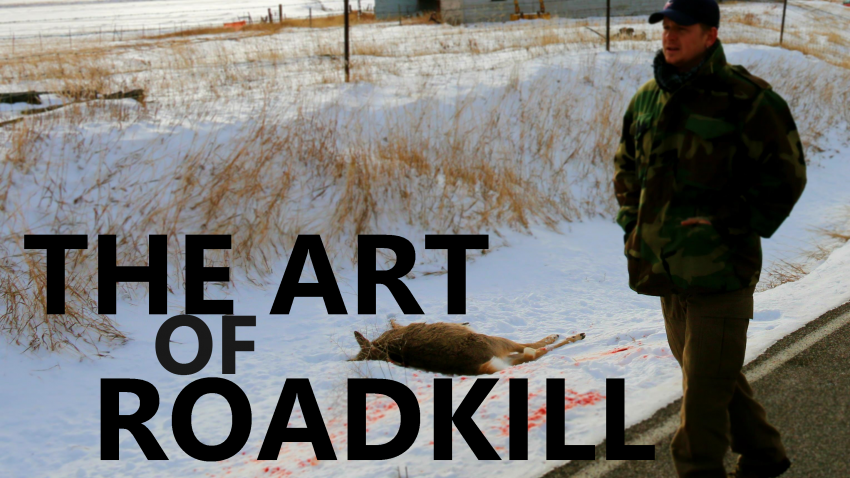 The Art of Roadkill